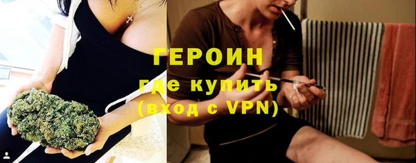 индика Гусев