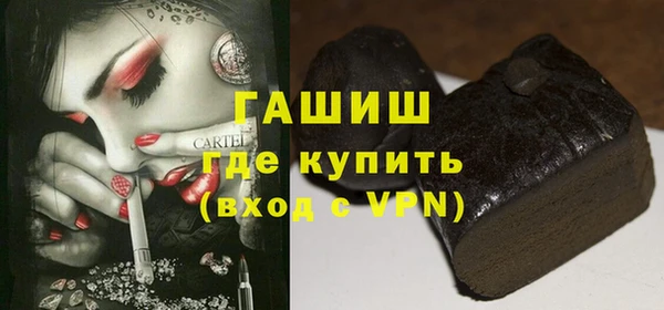индика Гусев