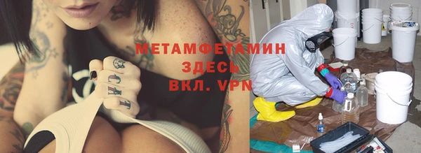 индика Гусев