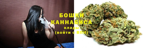 индика Гусев