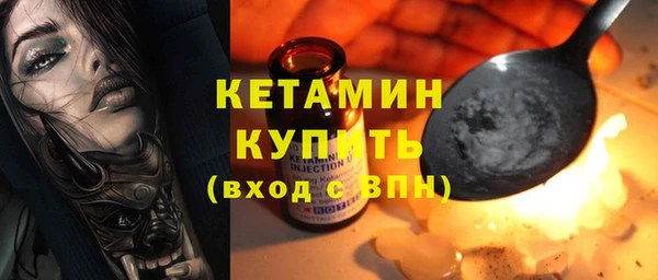 индика Гусев