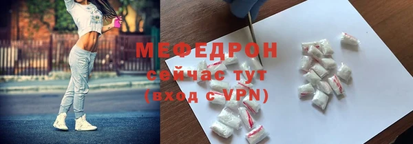 индика Гусев