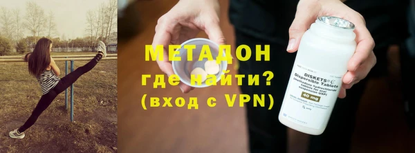 индика Гусев
