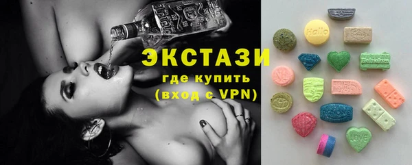 индика Гусев