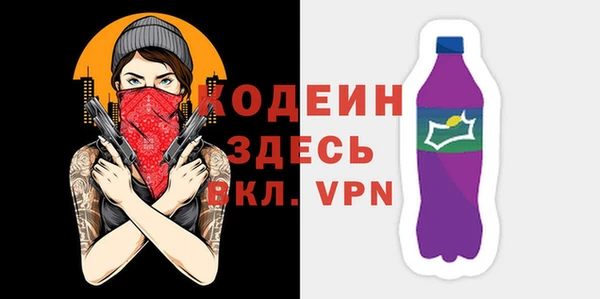 индика Гусев