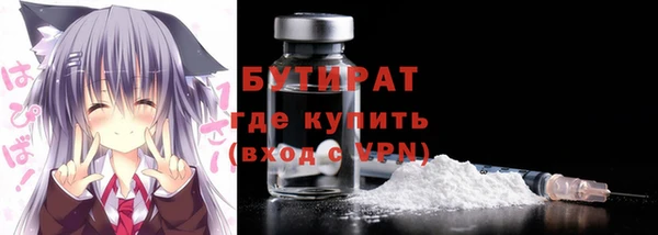 индика Гусев