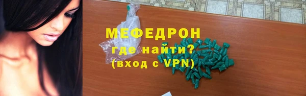 индика Гусев