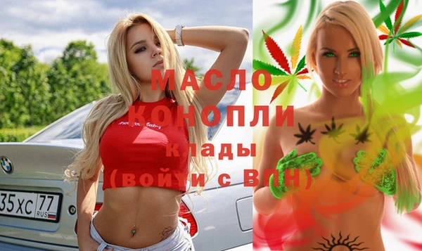 индика Гусев