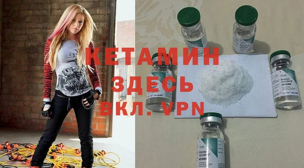 индика Гусев