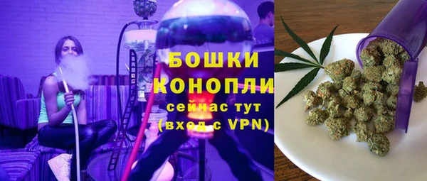 индика Гусев