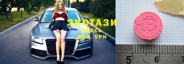 индика Гусев