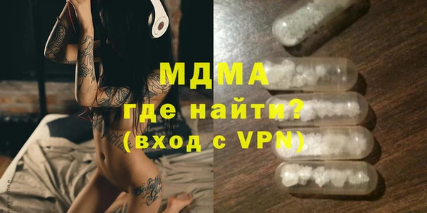 индика Гусев