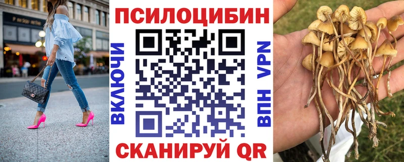 Галлюциногенные грибы GOLDEN TEACHER  Купить закладки  Омутнинск 